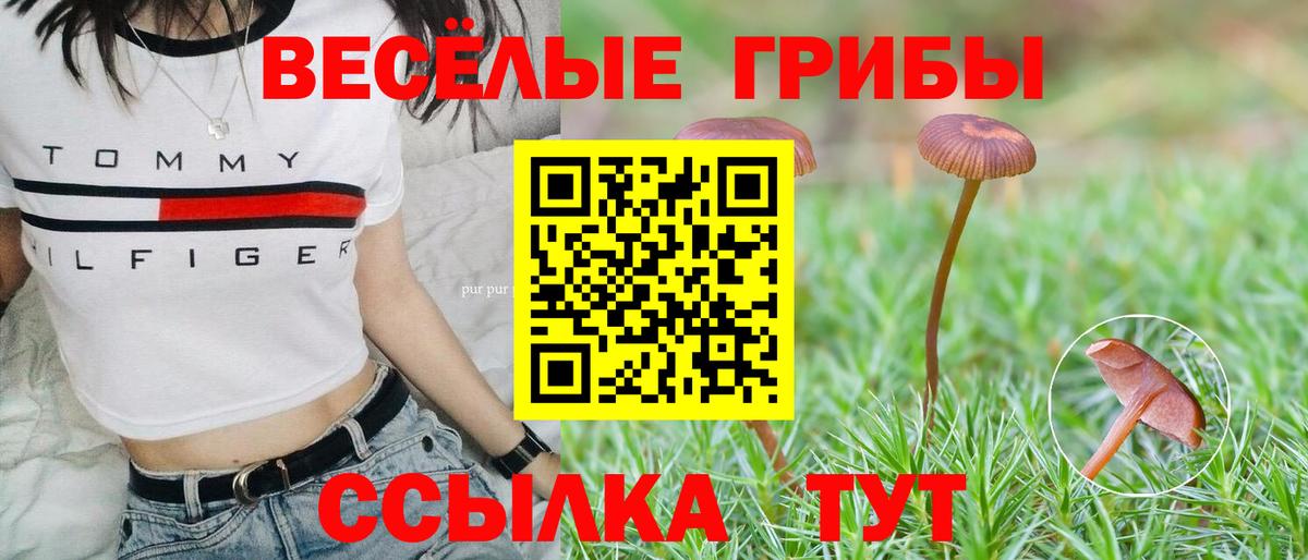 Галлюциногенные грибы мухоморы Спасск-Дальний
